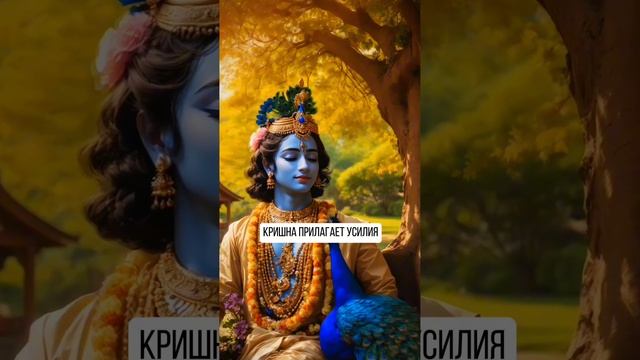 Кришна-единственная причина счастья! Подписывайтесь, поддержите проект смотреть онлайн