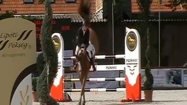 Mira, 8 yr old Mare смотреть онлайн