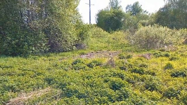 покатушки лайт на Луазе смотреть онлайн