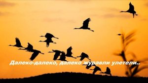 Далеко далеко, далеко журавли улетели..