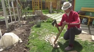 6 соток 15 мая. Высадила арбузы и дыни в грунт под пленку. Борьба с одуванчиками