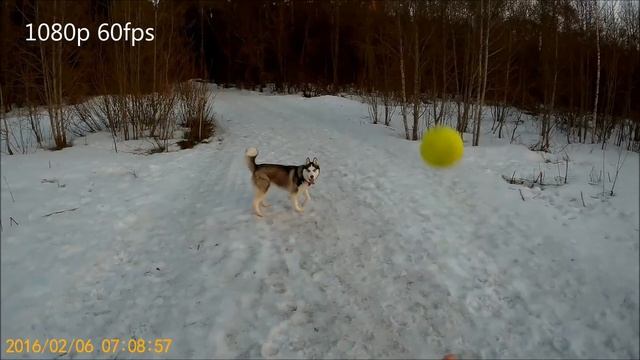 SJCAM SJ5000X Elite смотреть онлайн