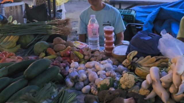 CHADA VALENCIA MARKET | Lots of fresh vegetables & fruits | Jon & Jen смотреть онлайн