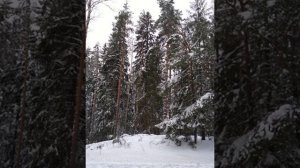 №66 Выравнивание полей