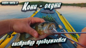 #7 Кони-окуни | Навстречу северным ветрам 2024