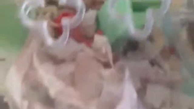Маленькие хомячки смотреть онлайн