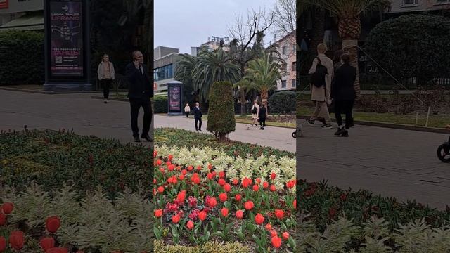 СОЧИ. НАВАГИНСКАЯ. 13 МАРТА. смотреть онлайн