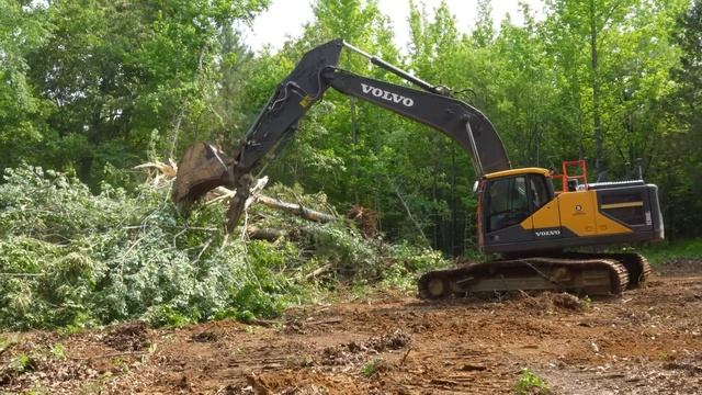 HEAVY MACHINERY! | DEMOLISHING TREES!!! | Clearing Land For The Off Grid Barndominium