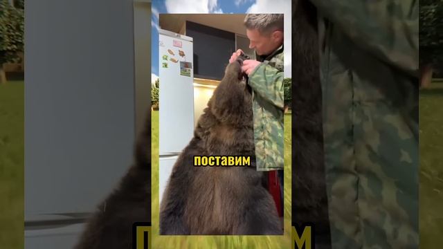 ВИРУСНЫЕ ВИДЕО / Поцелуй 💋 смотреть онлайн