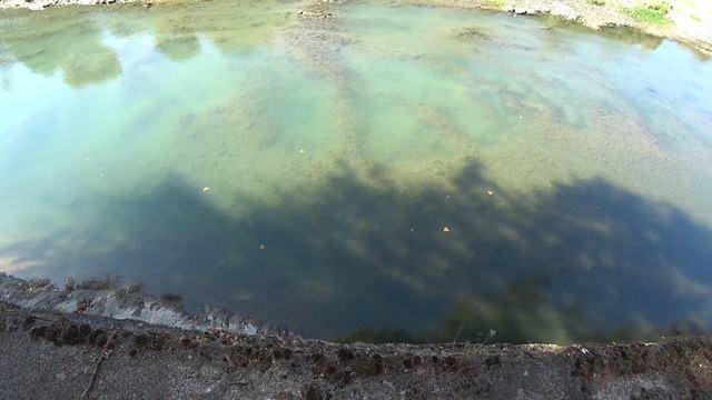 СОЧИ. Парк и пляж "Ривьера". Река Сочи. Комсомольский сквер. Морской порт .. смотреть онлайн