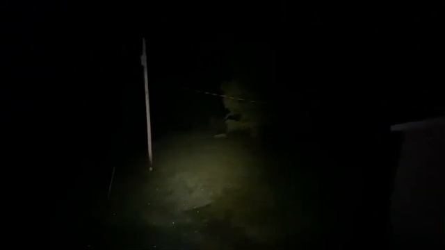 Olight Seeker 4 Pro - neutral white 4000 to 5000 K, in the real wilderness!￼ смотреть онлайн