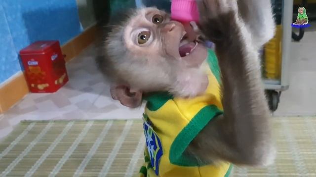 Sam boy enjoys smart brand milk powder смотреть онлайн