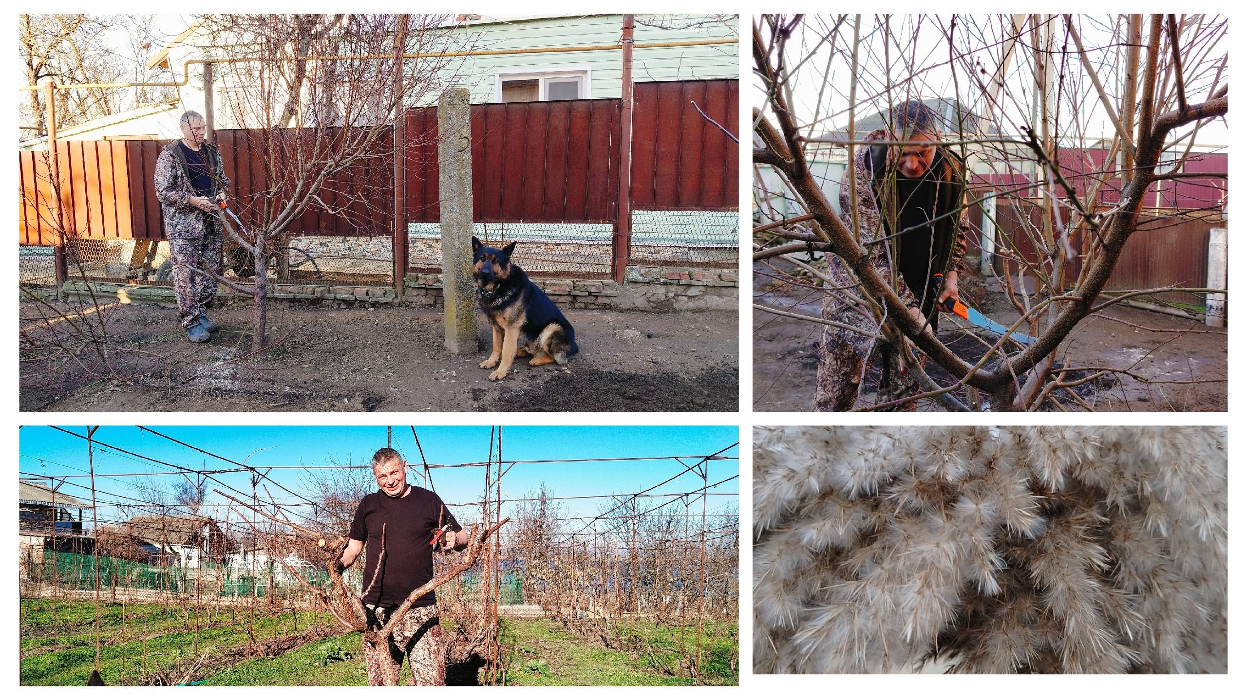 Уральцы на юге.Конкретно обрезали и пересадили.Пришло понимание. смотреть онлайн