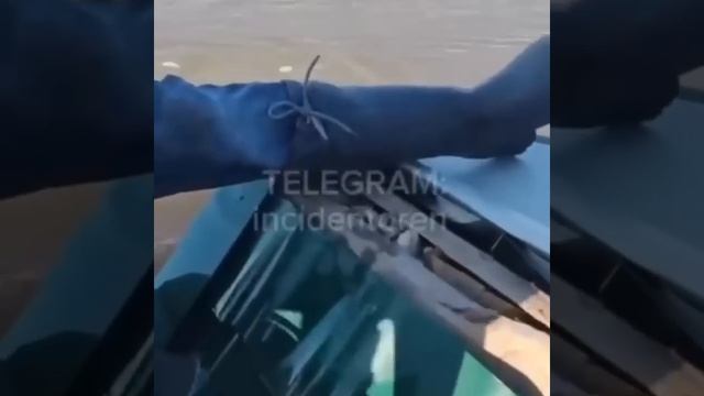 В ОРСКЕ СПАСЛИ КОШКУ В ПОСЛЕДНЮЮ МИНУТУ смотреть онлайн