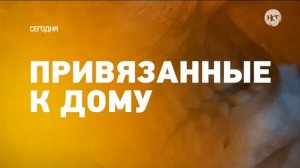 Уход на профилактику (НСТ, 19.04.2023)