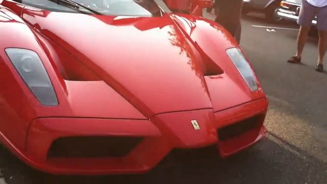 Ferrari Enzo Start Up