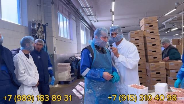 ИШ БОР ТОВУК ФАБРИКАДА ￼МОСКОВСКИЙ ОБЛАСТЬ НАРА -ФОМИНСКИЙДА смотреть онлайн