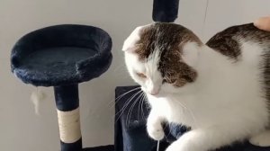 дадо мы же космонавты