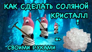 МЫ С ЗЕБРОМ СДЕЛАЛИ НАСТОЯЩИЙ КРИСТАЛЛ СВОИМИ РУКАМИ|Как сделать соляной кристалл своими руками🧐