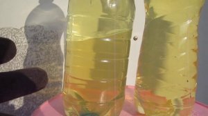 НЕ СЛИВАЙТЕ  "КОНДЕНСАТ"  ИЗ ГАЗОВЫХ БАЛЛОНОВ пока не посмотрите это видео