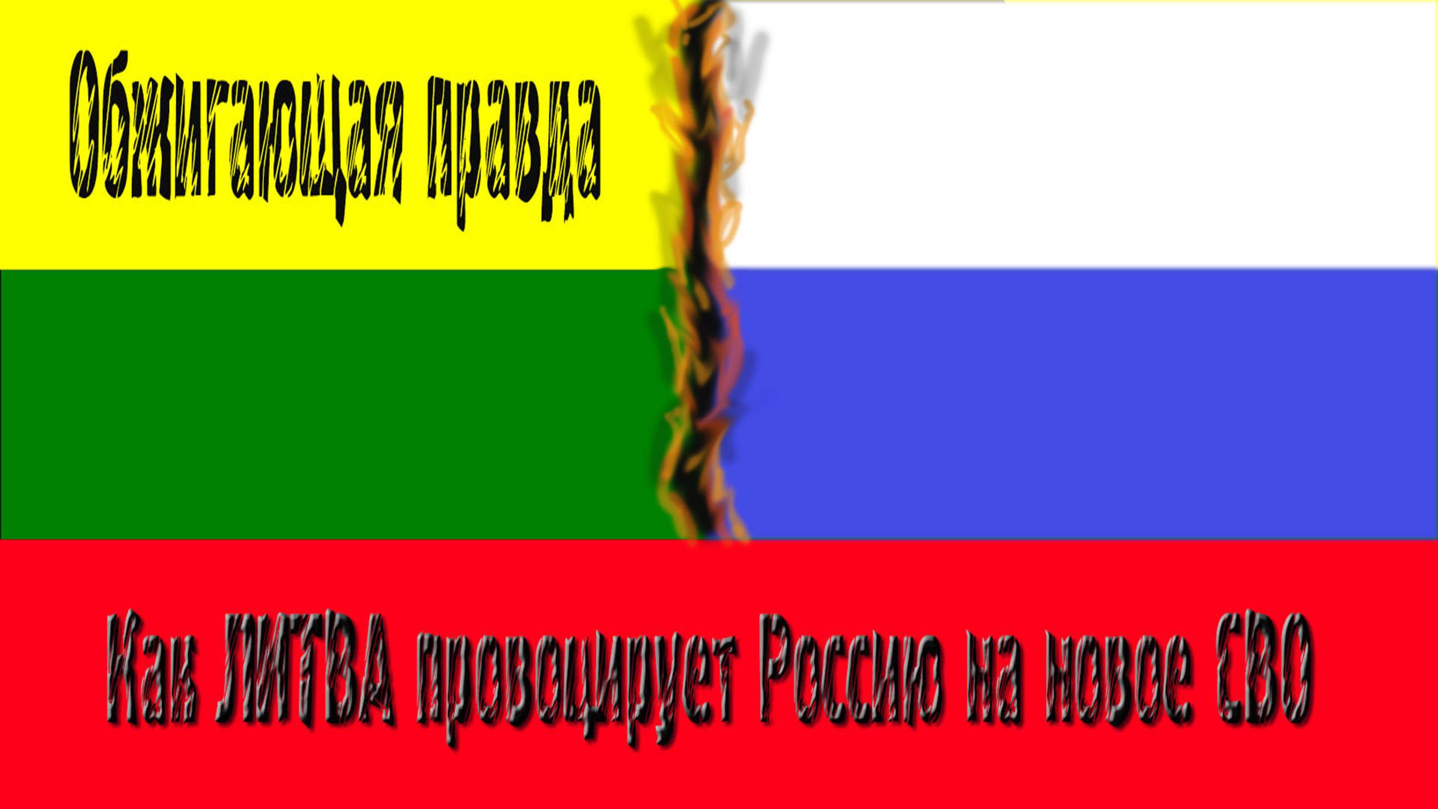Обжигающая правда - Литва провоцирует  войну с Россией!