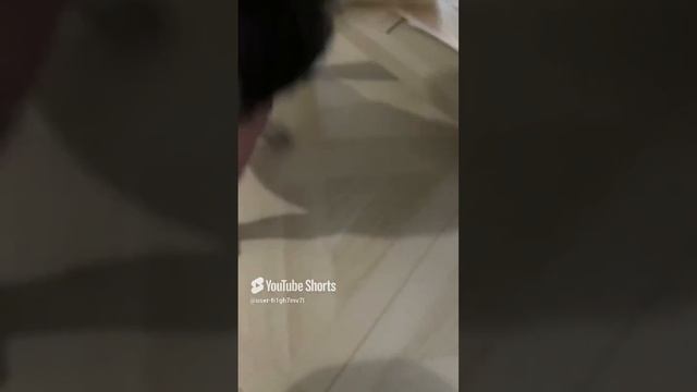 Мопс Милка смотреть онлайн