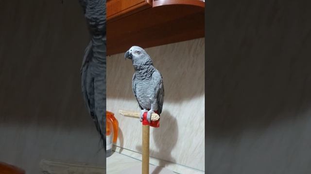 Оникс смотреть онлайн