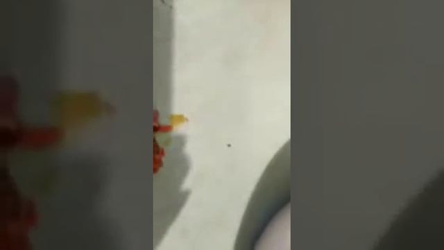 18 июля 2019 г. смотреть онлайн