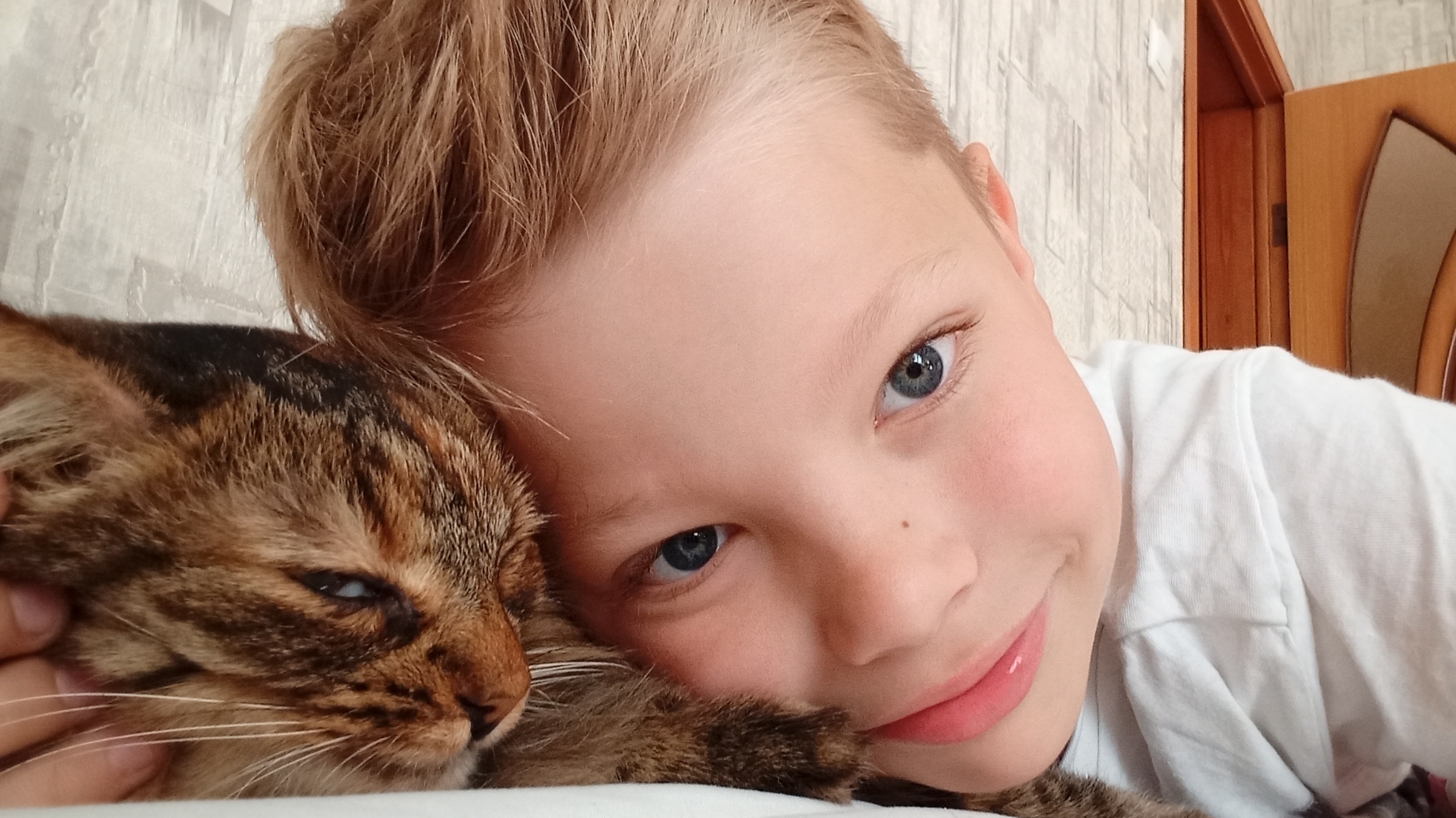 ищем место где можно спрятаться смотреть онлайн