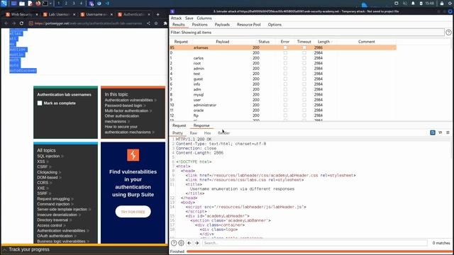 02. Lab 1 - Username enumeration via different responses смотреть онлайн