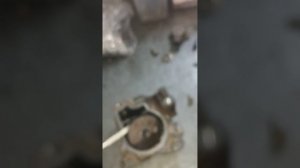 ошибки при сборке актуатора. свифт. ярис. пежо 107. ситроен с 1