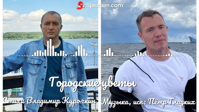 Городские цветы Стихи: Владимир Курочкин Музыка, исп: Пётр Гладких смотреть онлайн