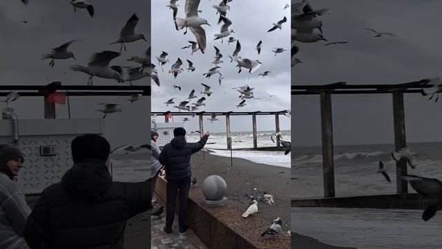 5 ФЕВРАЛЯ АДЛЕР. СИЛЬНЫЙ ВЕТЕР И ШТОРМ. смотреть онлайн