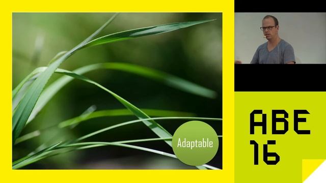 AgileByExample 2016: Marc Loeffler - The systemic Scrum Master смотреть онлайн