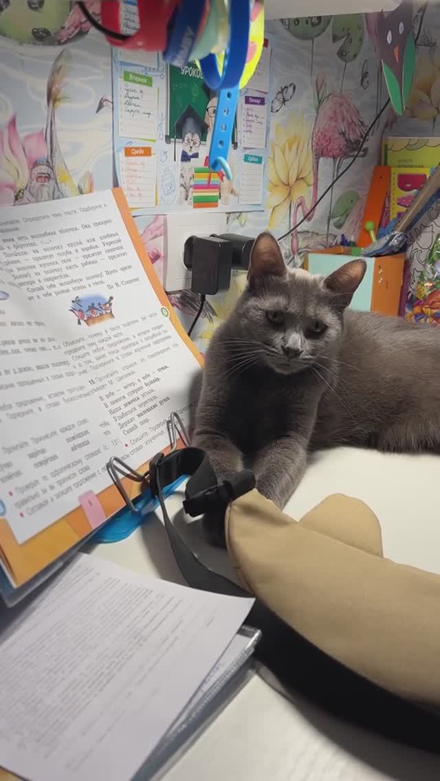 Бьянка учит русский язык на столе смотреть онлайн