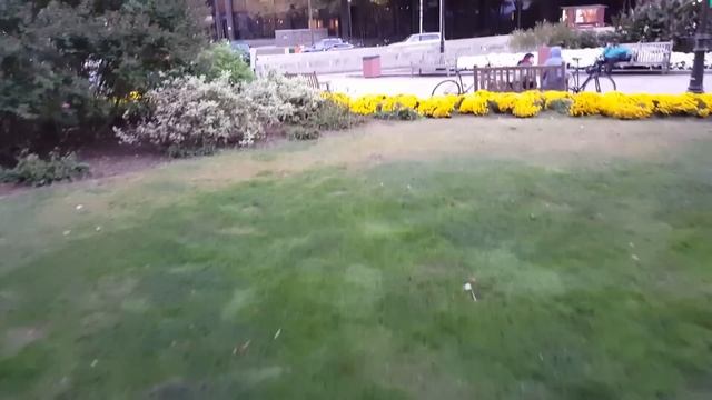 Sky Viper s670 Stunt Range Test смотреть онлайн