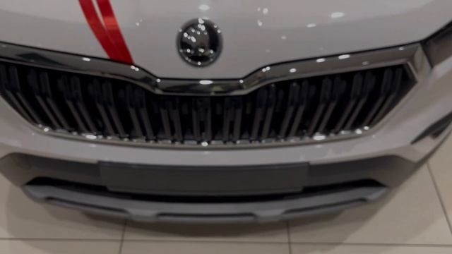 My New Car Delivery| @skoda KUSHAQ #skodakushaq #unveil смотреть онлайн