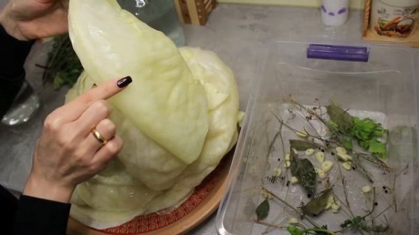 Կաղամբի Թթու Պասուց Տոլմայի Համար | Mari Cooking Channel