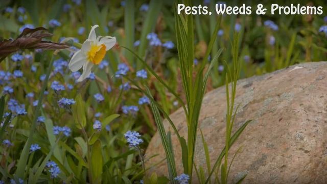 Organic Scale Control смотреть онлайн