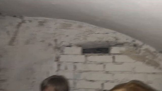 Прогулка с Еленой Ингербург. Часть 3 смотреть онлайн