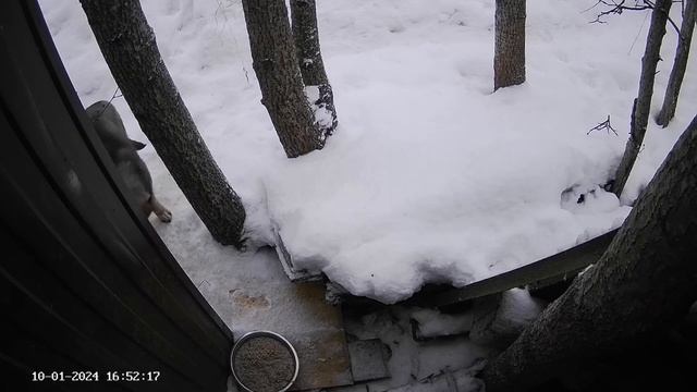 ГОРЯЧАЯ КАША смотреть онлайн