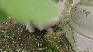 Комочек счастья,наша семья растёт