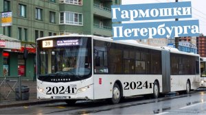 Гармошки Санкт-Петербурга в  2024 году