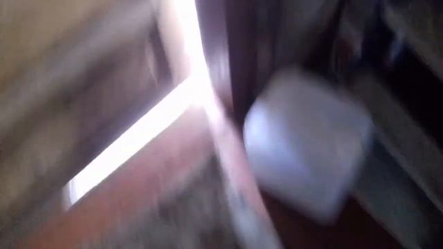 КУДА ЖЕ ВСЕ ПРОПАЛИ? | Animals TV | смотреть онлайн