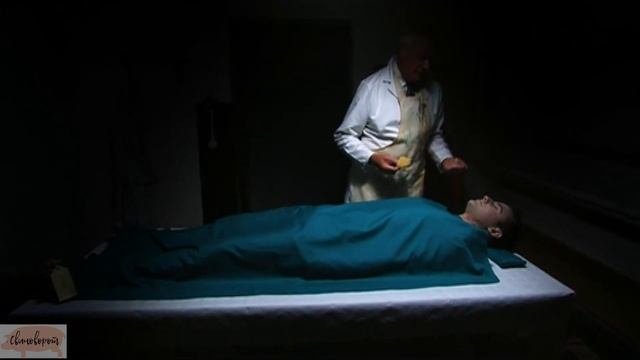 Тряска шмонькой (Shmonka Shake)