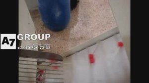 Производство чупа чупс мини линия #чупачупс #конфеты #производство