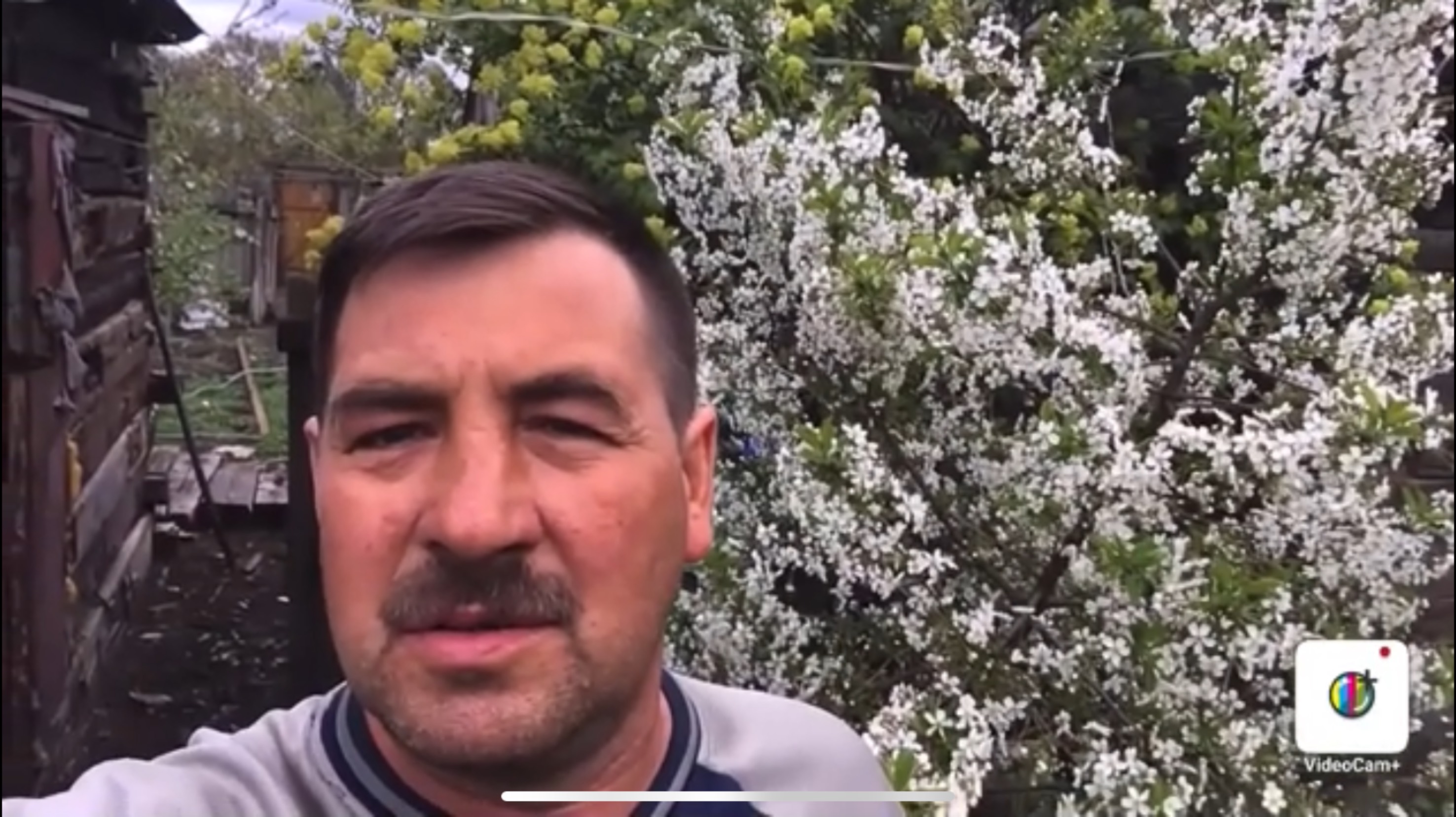 Секрет Стопроцентной приживаемости прививки черенков. смотреть онлайн