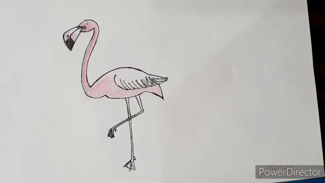 How to draw a flamingo, step by step easy guide for beginners/colour drawing смотреть онлайн