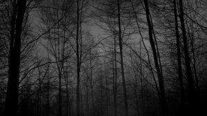 Echo Sax End (first half 10 mins loop) slowed - Caleb Arredondo