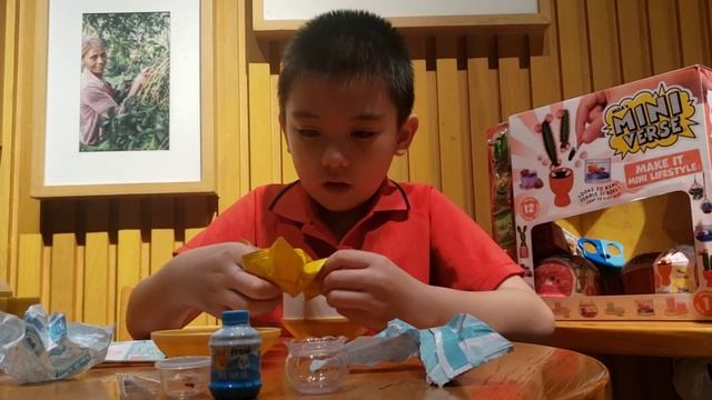 Mini Verse Make It Mini Lifestyle Unboxing | Miniature